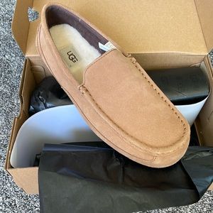 New Mens ugg slippers